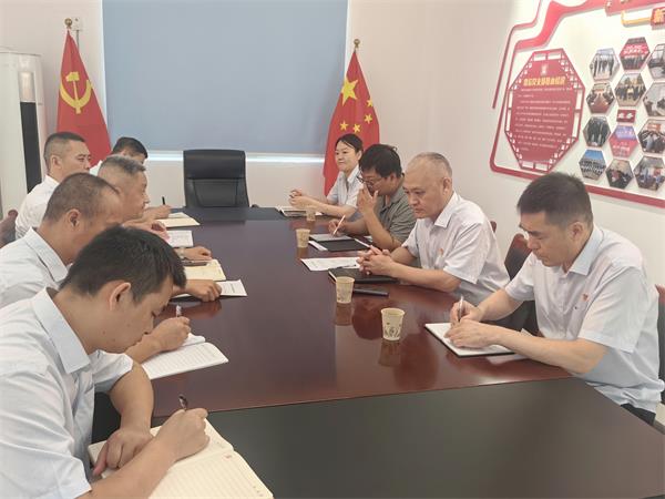 公司領導調研指導鼎信公司、藍盾...